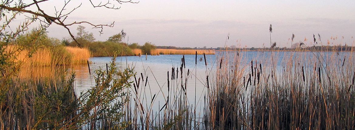 Leekstermeer / Wim van Boekel