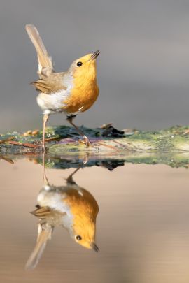 Spiegeltje spiegeltje aan de wand