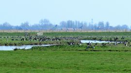 Gooi het maar in de groep