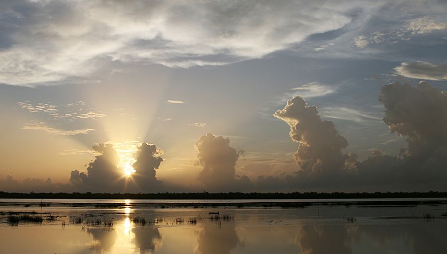 Crooked Tree Belize / Shutterstock