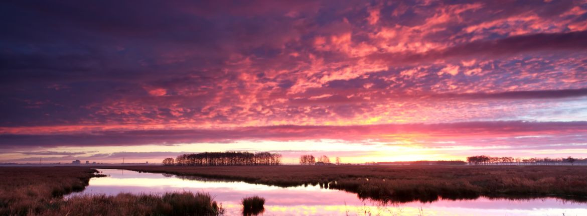 Onlanden - klimaatbuffer / Shutterstock