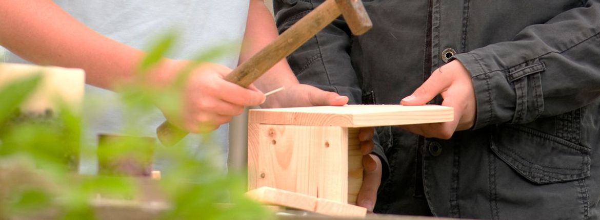 Zelfbouwpakket nestkast