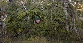 Videostill Whispers in the Woods / Vincent Munier