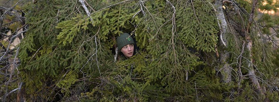 Videostill Whispers in the Woods / Vincent Munier