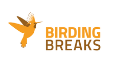 Logo Birding Breaks