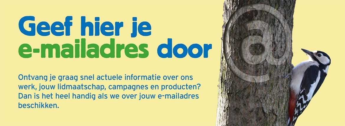 Geef hier je e-mailadres door