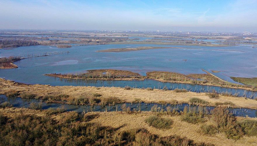 Noordwaard Visarendnest / Roel Diepstraten