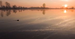 Vecht - Zwarte Water / Agami