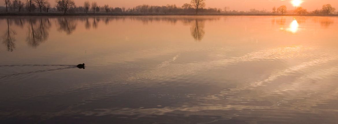 Vecht - Zwarte Water / Agami