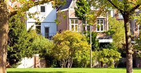 Stadsnatuur Dordrecht / Shutterstock