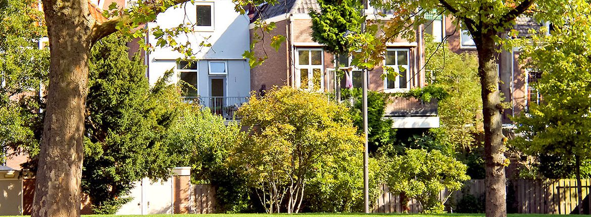 Stadsnatuur Dordrecht / Shutterstock