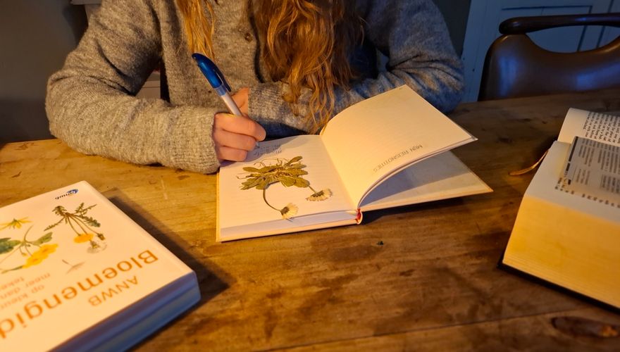 Herbarium / Jeanet van Zoelen
