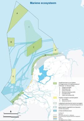 Natura-2000 gebieden Noordzee