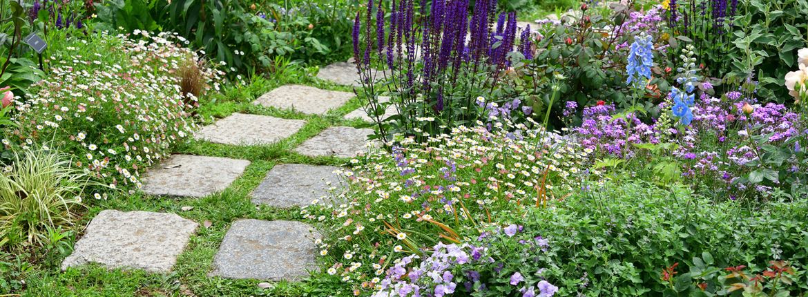 Tuin met tegels / Shutterstock