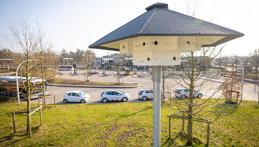 Huismus til NS Station Driebergen-Zeist