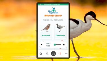 Mijn Vogelvinder slider