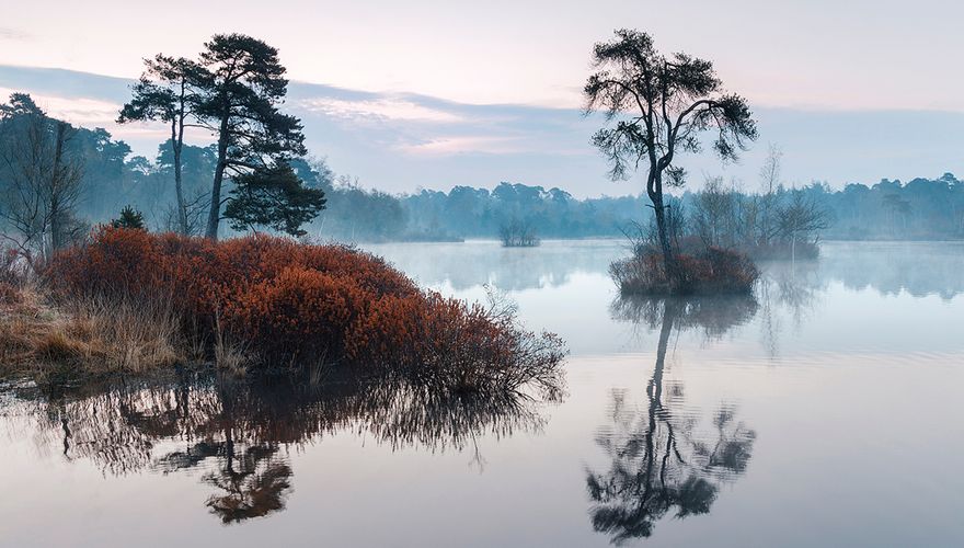 Oisterwijkse bossen / Shutterstock