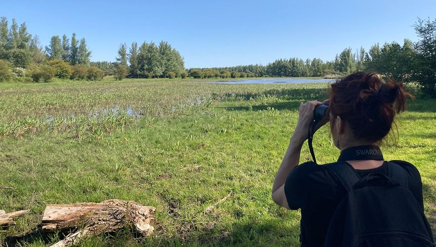 Horsterwold uitkijken over moerasplas Stille Kern / John Veron