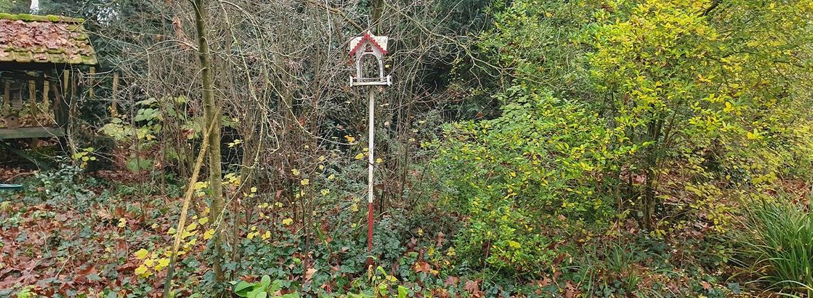 Vogelhuisje tuin Vogelbescherming
