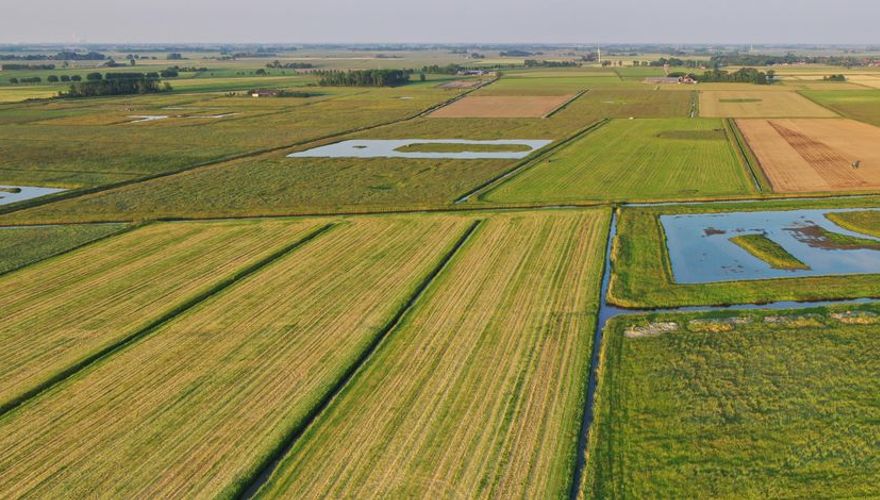 Mozaïekbeheer BoerenNatuur Groningen West / Mark Schuurman