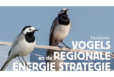 Factsheet Vogels en de Regionale Energie Strategie