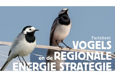 Factsheet Vogels en de Regionale Energie Strategie