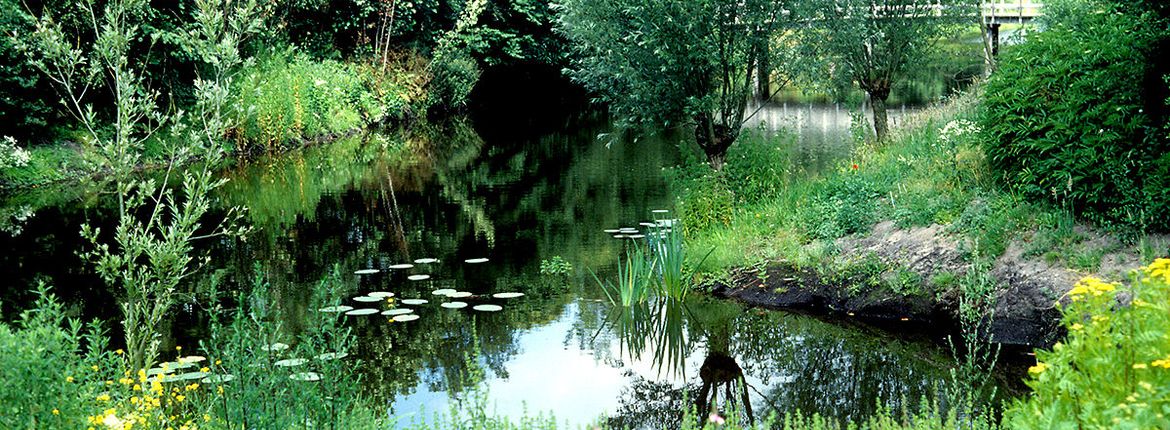 Stadsnatuur - Alkmaar / APSV