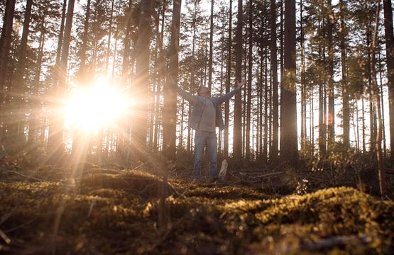 Videostill Bedankt Natuur