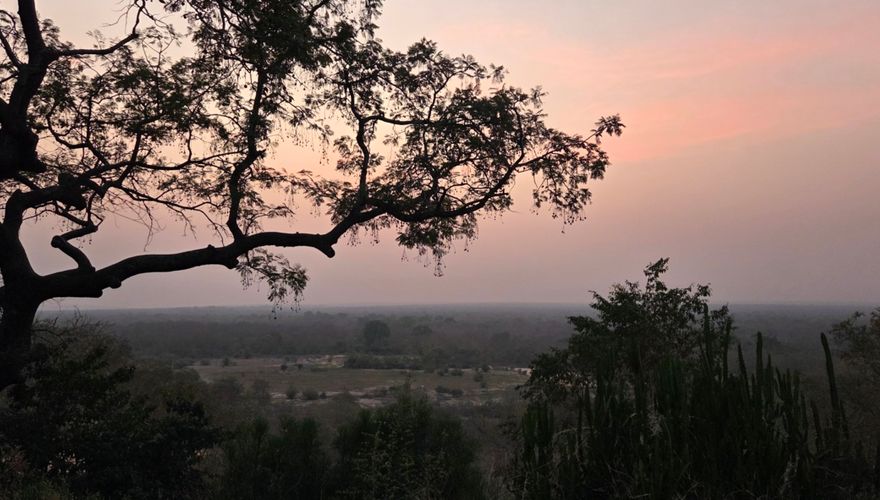 Birds, Bees & Business