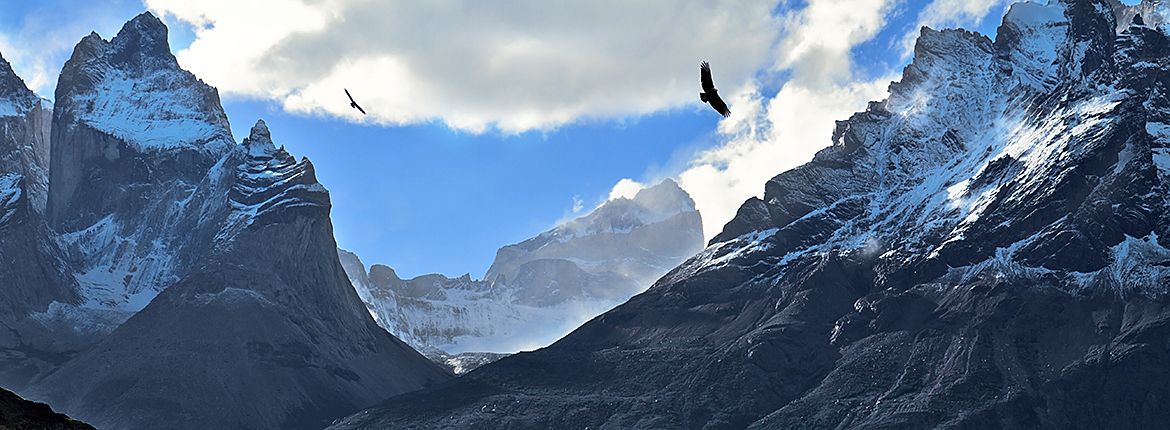 Condor / Shutterstock