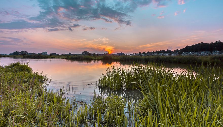 Neder-Rijn bij Wageningen / Shutterstock