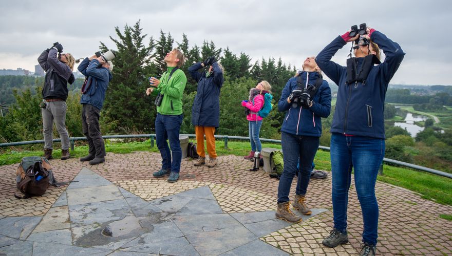 Vogels kijken / Gerrit de Heus