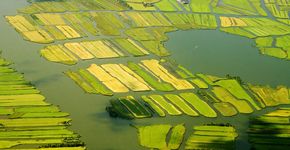 Hollandse landchap / Shutterstock