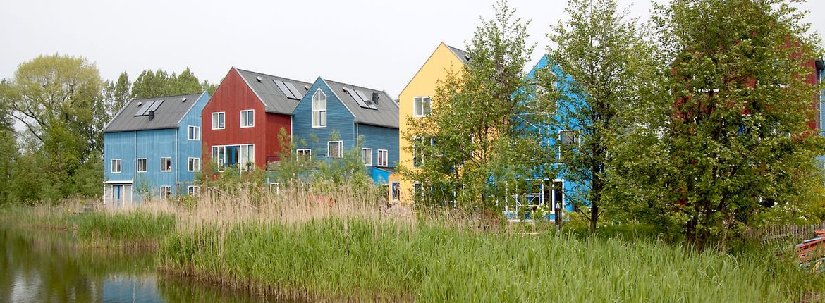 Stadsnatuur / Jouke Altenburg