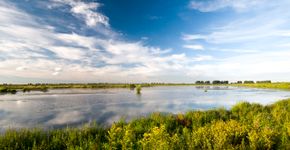 Haringvliet / Natuurmonumenten