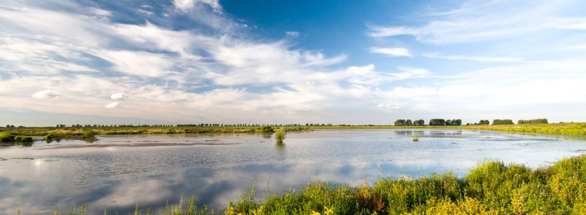 Haringvliet / Natuurmonumenten