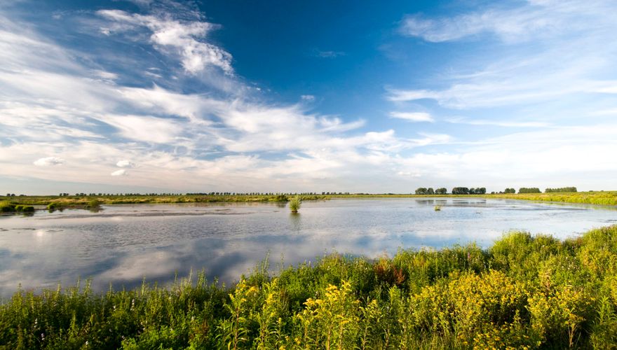 Haringvliet / Natuurmonumenten