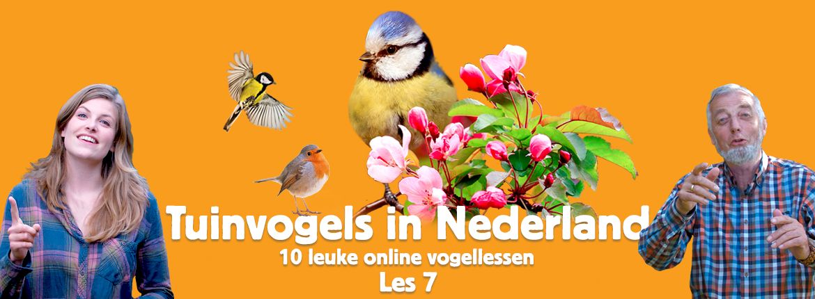 Header les 7 tuinvogelcursus
