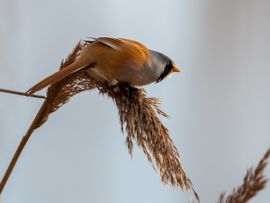 Nog even van het najaarszonnetje genieten