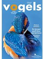 Cover Vogels 1/2025