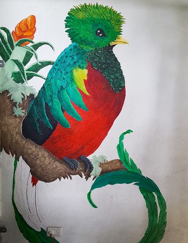Quetzal muurschildering / Hans Peeters