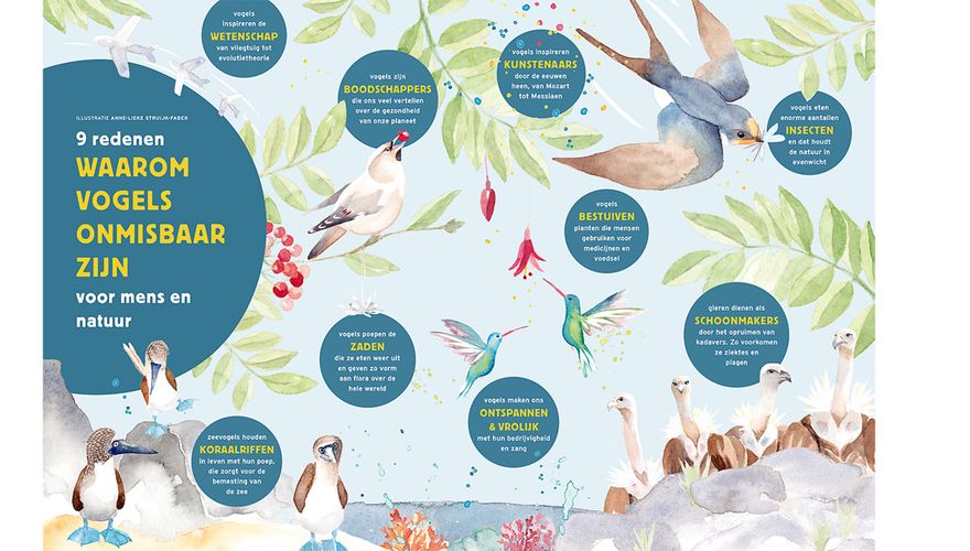 Poster onmisbare vogels