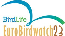 BirdLife Euro Birdwatch 2023