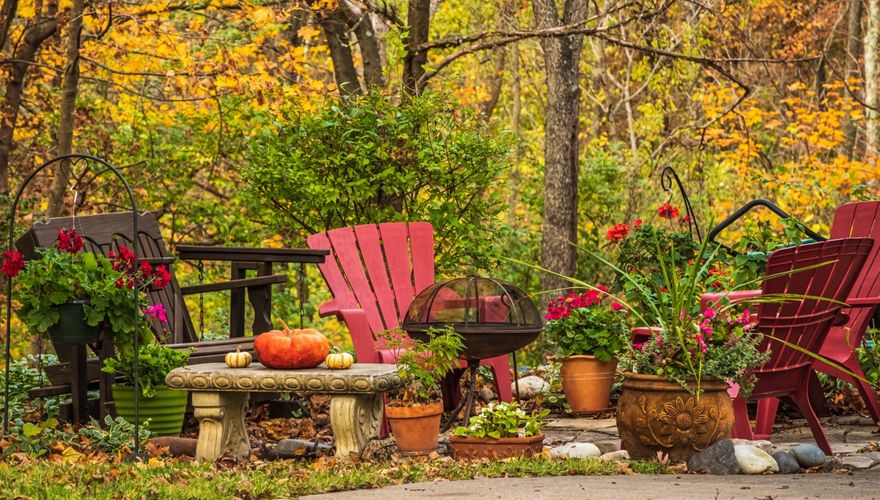 Tuin herfst / Shutterstock