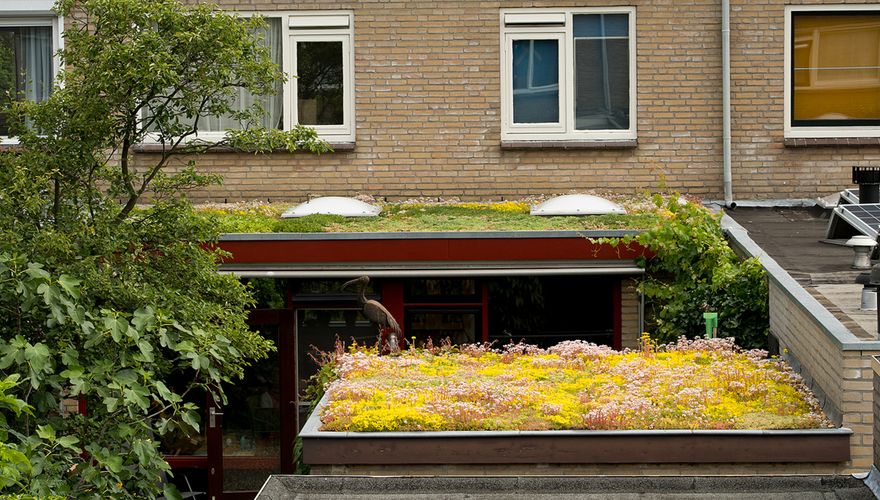 Groen dak buurman / Hans Peeters