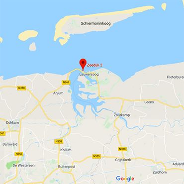 Huiszwaluwkolonie Groningen