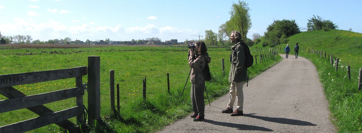 Vogels kijken / Kirsten Dorrestijn