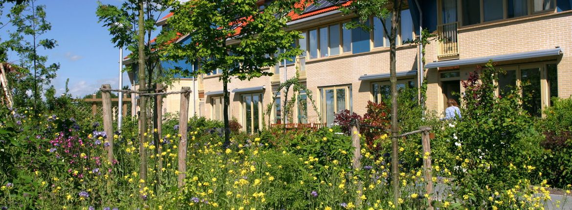 De kersentuin / Erik Honing