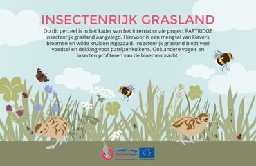 Infobord Insectenrijk grasland PARTRIDGE