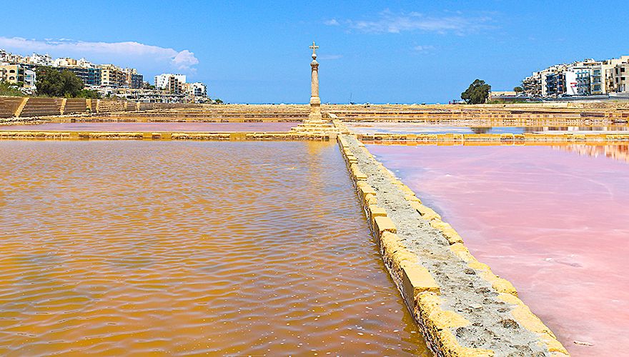 Salina nature reserve op Malta / BirdLife Malta